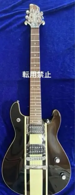 【希少】FERNANDES APG series 整備・清掃・弦交換済み 希少】FERNANDES APG series 整備・清掃・弦交換済み