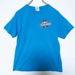 GILDAN Tシャツ シーソウルプリント 青 Mサイズ