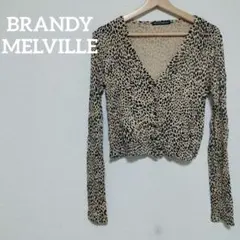 BRANDY MELVILLE ヒョウ柄 長袖カーディガン Vネック
