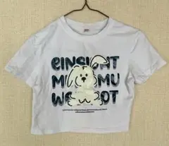 Tシャツ ホワイト 白 半袖Tシャツ 半袖 キッズ Sサイズ