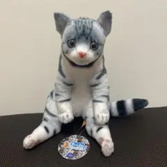 すわっちぃZooにゃんこ2