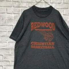 USA製90sヴィンテージTシャツ！シングルステッチ　グレー半袖古着　L 30