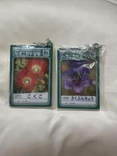 ジャポニカ学習帳　ダブルアクリルチャーム
