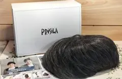 Priscilla　プリシラ　五分ウィッグ　メンズ　耐熱　グレーヘア　頭頂部