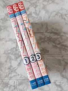 ラブ マウント 3巻セット マンガ 浅野あや