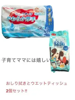 おしりふきと除菌ウエットティッシュ 2個セット