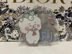 BTS bt21 RJ