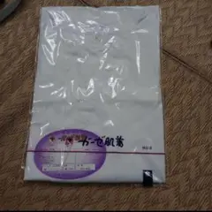 Item thumbnail for item c1dfe46e-80c7-422a-bb3d-447997b79d59