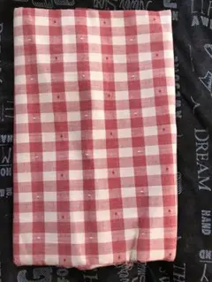 平成レトロの生 チェックレッド