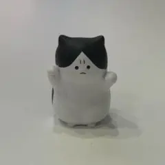怒った猫ちゃあぁぁん 2 これ以上近づくとパンチしちゃう怒ってる猫ちゃん