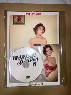 PIN-UP GIRLS Selection IV サイバージャパン　ENA