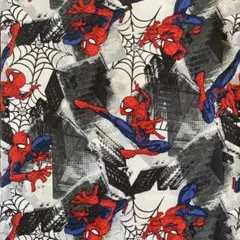 50cm スパイダーマン マーベル 綿　生地　布　シーチング