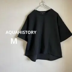 AQUAHISTORY　Tシャツ　中厚生地　オーバーサイズ　シンプル　黒　M