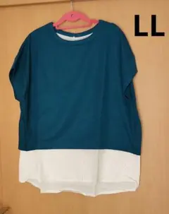 【特別SALE 価格】レディース　トップス　LL
