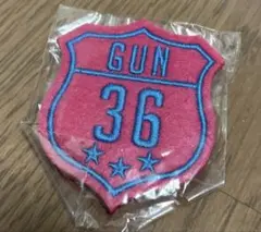 岩田剛典　フェルトバッチ　　GUN 36