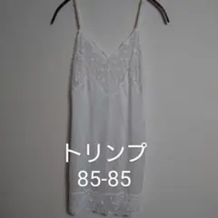 トリンプ バスト85