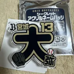 オリックス・バファローズ シークレットアクリルネームバッチ　宮城大弥 選手
