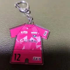 ガイナーレ鳥取　アクリルキーホルダー