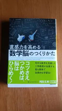直感力を高める 数学脳のつくりかた