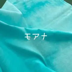 Item thumbnail for item 4e25a8cf-e1b7-41dc-8d9e-4ae2ba7c42b3