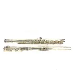 2025年最新】sankyo fluteの人気アイテム - メルカリ