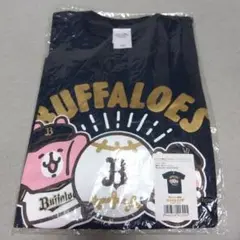 Item thumbnail for item c4cf483c-91e0-40f9-94af-6765c7f5103d