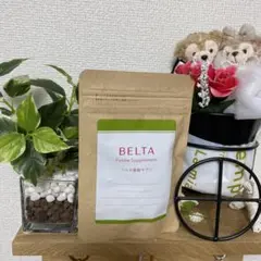 ベルタ 120粒 葉酸 サプリ 妊活 妊婦