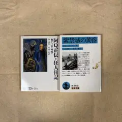 中国文学セット
