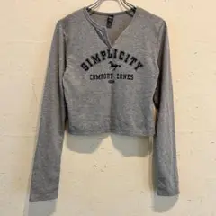 【良品】Dazy Tシャツ　カットソー　長袖　丈短め　グレー　b289