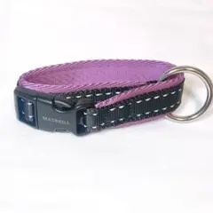 Item thumbnail for item ca9a022b-0185-4875-b042-bd348682df5d