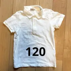 Item thumbnail for item 8cc1885b-e0a4-4543-9026-9c6979dc139a
