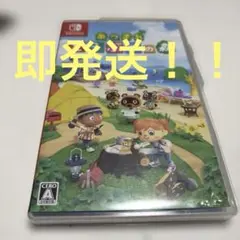 即発送します！　あつまれどうぶつの森 Nintendo Switch 動作確認済