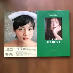 川口春奈 2点　フォト&スタイルブックI AMU HARUNA そのまんまはるな