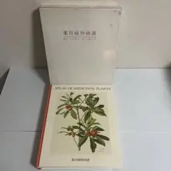 小磯良平/植物画・オオバナセツコク/サイン入り/額付 小磯良平、植物画・コカ、サイン入り新品額・額装付
