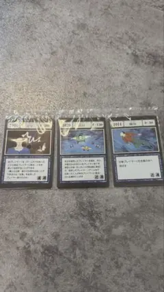 HUNTER×HUNTER 一番くじ　ハンターハンター I賞 アカンパニー　同行