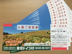 東京ドイツ村 入園ご招待券 チケット