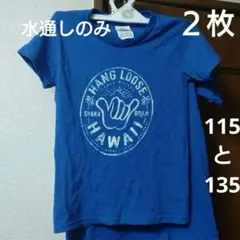 デルタハワイアロハＴシャツ青２枚