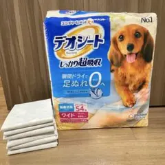 Item thumbnail for item 93820713-db75-4e66-83f2-1e9ca9028ed4