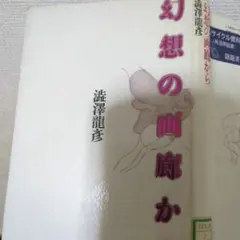 ※除籍本　　澁澤龍彦　幻想の画廊から　　青土社　1990年第二刷発行