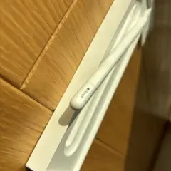 Apple Pencil USB-C ホワイト 専用ケース付き