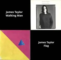 US盤レコード／James Taylor 2枚