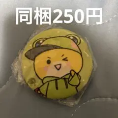 カラフルピーチ 刺繍缶バッジ シヴァさん