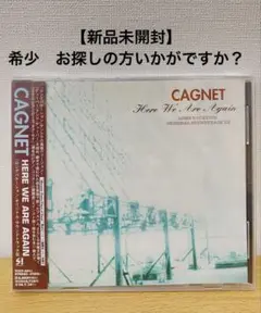 【新品未開封】Here We Are Again ロングバケーション サントラ