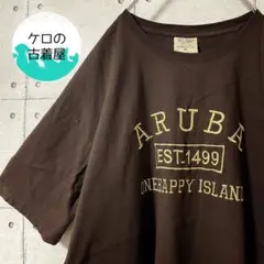 SEA MAN 刺繍 メンズ Tシャツ XL ブラウン US古着