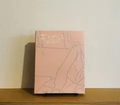 花とアリス殺人事件〈2枚組〉+パンレット2枚(岩井俊二サイン付)