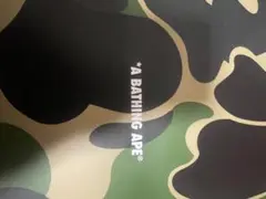 BAPE SK8 STA