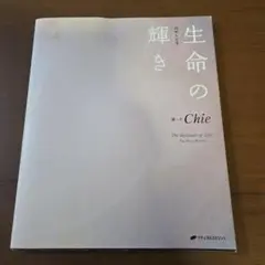 Item thumbnail for item b8503531-9eba-4e4b-985a-a29d4c907859