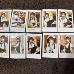 なまはむこ🐹 on X: 