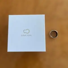 SOXAI RING 1 　ソクサイリング1　 ピンクゴールド 14号