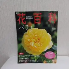 週刊 花百科 バラ 2004年2月26日号